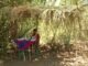 Desafios do ensino no campo: Pai fez cabana de palha na mata para filho assistir a aulas online