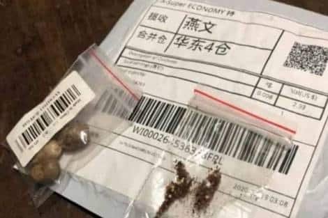 Ministério da Agricultura e Adapec alertam quanto a misteriosas sementes vindas da China
