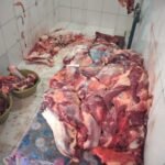 Operação realizada pela Adapec , Vigilância Sanitária e SIM resultou na apreensão de 395 quilos de carnes de abate clandestino