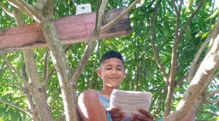 Mangueira vira “sala ” para estudante da zona rural assistir aulas remotas