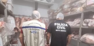 Cuiabá: 238 quilos de carnes são apreendidos em fiscalização