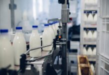 Envato - Produtores esperam recuperação após dois anos de dificuldades do setor lácteo.