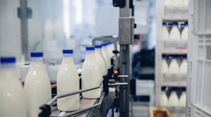 Envato - Produtores esperam recuperação após dois anos de dificuldades do setor lácteo.