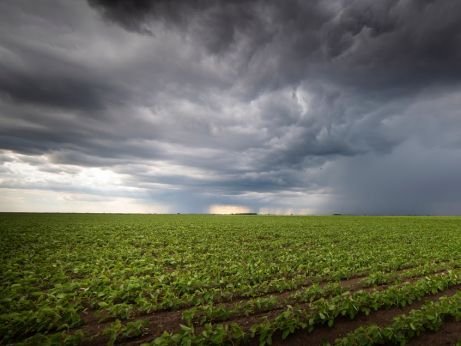 Mudanças climáticas são um grande perigo para o agro