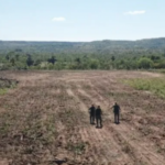 Empresa agrícola é condenada a pagar R$ 22,4 milhões de indenização por danos ambientais no município de Lagoa da Confusão