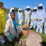 Associação Onça D’água promove curso de apicultura para agricultores do Projeto de Reforma Agrária – PA Manchete na APA Ilha do Bananal/Cantão