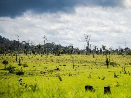 Banco bloqueia financiamento de agricultores que desmataram irregularmente
