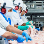 Empresas com registro no SIE têm até sexta-feira para fazer recadastramento na Adapec