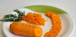 Pesquisa desenvolve cenoura híbrida para o verão Gislene Alencar -