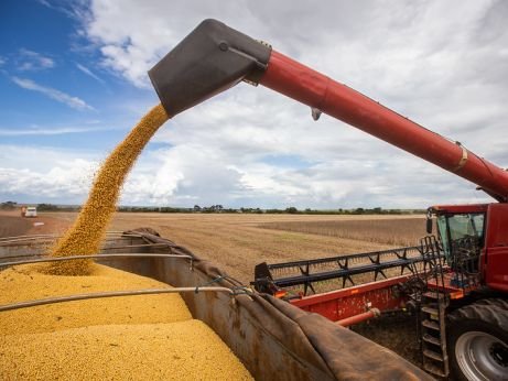 Taxação no agronegócio: decisão no Tocantins é inconstitucional