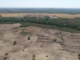 Tocantins perdeu quase 70 km² de cerrado nativo em fevereiro, aponta levantamento