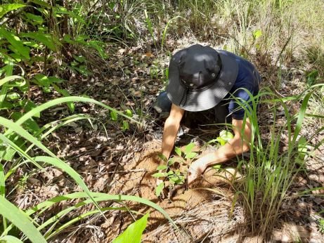 Tocantins promove ação de conscientização sobre mudanças climáticas