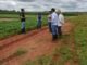Tocantins recebe autorização para manutenção de cultivo excepcional de soja nas Planícies Tropicais e Pesquisa Científica/Ensino