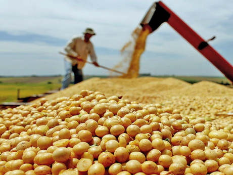 Tocantins registra até 70% de área colhida da produção de soja