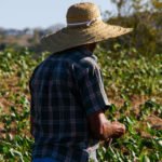 Saulo Coelho - Produtores familiares diversificam a produção de forma sustentável