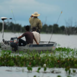 Transporte de peixes volta a ser proibido no Tocantins