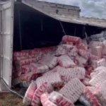 Trecho da BR-153 fica interditado após caminhão tombar e espalhar carga de arroz às margens da pista