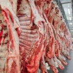 Vaca louca: Ministério da Agricultura confirma que caso no Pará é atípico