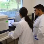 Com mais de 40 mil amostras analisadas, Brasil segue livre de influenza aviária