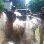 Fiscalização do Naturatins recolhe 1,2 mil metros de redes às margens do Lago da Usina Hidrelétrica Luís Eduardo Magalhães, em Miracema