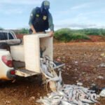 Naturatins deflagra Operação Malha Fina em Palmas e no Bico do Papagaio