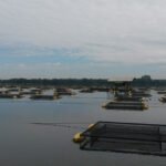 Manoel Pedroza - A emissão de gases de efeito estufa (GEE) em reservatórios ocorre devido a processos físico-químicos decorrentes da degradação da matéria orgânica e oxidação dos compostos químicos