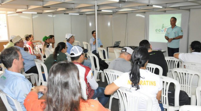 Programação de palestras na Agrotins 2023 contará com diversos temas agropecuários para produtores e visitantes