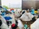 Reciclagem de resíduos promove inclusão social e contribui para o meio ambiente