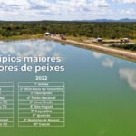 Região do Bico do Papagaio, extremo norte do Tocantins, desponta como novo polo de piscicultura no Estado