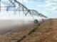 Rogério Alves - Sistema Brasileiro de Classificação de Terras para Irrigação (SiBCTI) está agora disponível para todas as regiões brasileiras e habilitada para fornecer informações sobre 16 culturas agrícolas