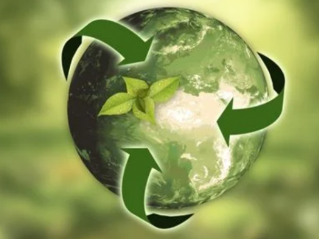 USP lança centro de estudos voltado à agricultura inovadora e sustentável