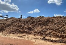 Ronaldo Viana - Biomassa 1G, matéria prima para a produção de pellets