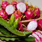 Alexandre Veloso - São as primeiras cultivares de pitayas registradas no Ministério da Agricultura e Pecuária (Mapa) e chegam ao mercado para uniformizar e organizar a produção desse fruto