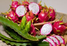 Alexandre Veloso - São as primeiras cultivares de pitayas registradas no Ministério da Agricultura e Pecuária (Mapa) e chegam ao mercado para uniformizar e organizar a produção desse fruto