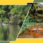 Com rica biodiversidade e mananciais de água, APAs Ilha do Bananal/Cantão e Serra do Lajeado completam 26 anos neste sábado, 20