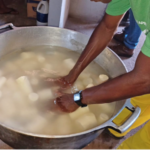 Custodiados são capacitados em curso sobre Cultivo e Produção de Mandioca, em Cariri do Tocantins