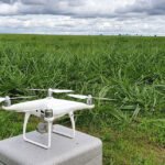 Drones garantem 66% de acurácia no monitoramento de pastagens Embrapa - Experimentos reforçam a qualificação de drones para aumentar a eficiência da agropecuária