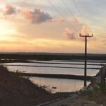 Mapeamento por imagens de satélite identifica viveiros de produção aquícola no Brasil Yara Novo - A Embrapa mapeou mais de 78 mil hectares de viveiros escavados para produção aquícola no Brasil e gerou um banco de dados inédito no País