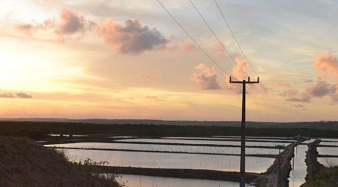 Yara Novo - A Embrapa mapeou mais de 78 mil hectares de viveiros escavados para produção aquícola no Brasil e gerou um banco de dados inédito no País