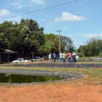 Na Agrotins, Ruraltins apresenta vitrines agrotecnológicas de cadeias produtivas para a agricultura familiar