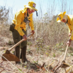 Processo seletivo oferece 60 vagas para brigadistas atuarem em incêndios florestais no Tocantins