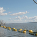 Produção de peixes em tanques-rede será tema de encontro com especialistas na Agrotins 2023