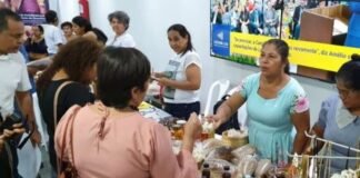 Governo do Tocantins promove feira de produtos agroextrativistas do cerrado em Palmas