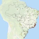 Mapa disponibiliza painel sobre focos confirmados de Influenza Aviária