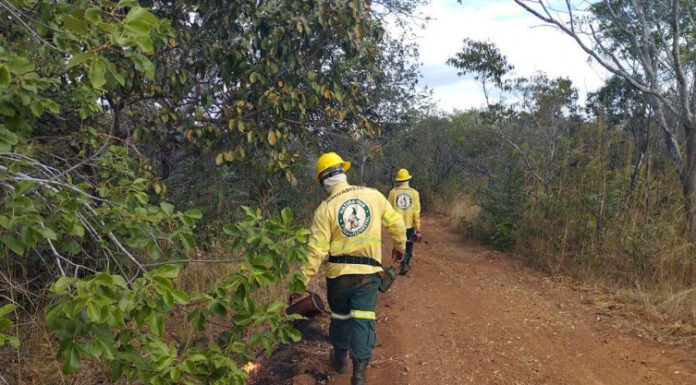 Naturatins inicia queima prescrita no Parque Estadual do Cantão