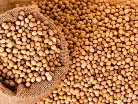 Soja: preços interno e externo sobem