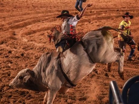 Tocantins implementa lei que obriga o uso de capacetes e coletes em rodeios