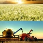 Agro eleva PIB, renda e população, e desigualdade cai onde setor avança mais