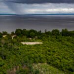 Marizilda Cruppe - Trabalho reuniu estudos de comunidades ecológicas coletadas em diferentes tipos de ecossistemas, incluindo florestas de terra firme, florestas alagáveis e ambientes aquáticos