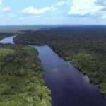 Desmatamento na Amazônia registra queda pelo terceiro mês consecutivo em 2023